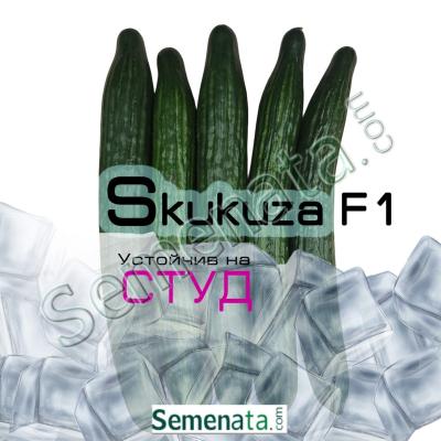 Семена за дългоплодни Краставици Скукуза / Skukuza F1 Топ Цена !