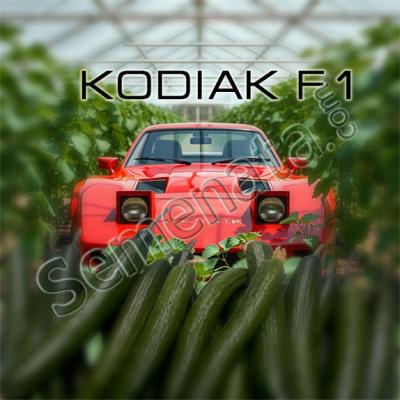Семена за Хибрид Краставици Кодиак ( Kodiak ) Топ Цена !