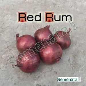 Семена за пролетен червен лук Ред Рум ( Red Rum ) Цена Семена за пролетен червен лук Ред Рум ( Red Rum ) Цена