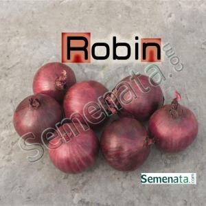 Семена за червен пролетен лук Робин ( Robin )