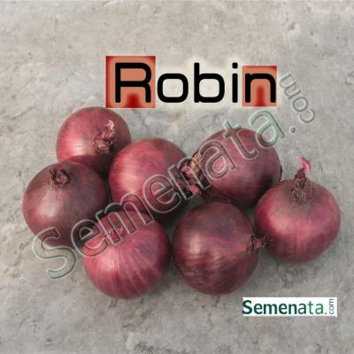 Семена за червен пролетен лук Робин ( Robin )