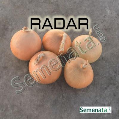 Семена за презимуващ лук Радар (Radar)
