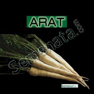 Семена за коренов Магданоз Арат ( Arat ) цена
