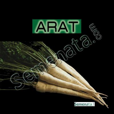 Семена за коренов Магданоз Арат ( Arat ) цена