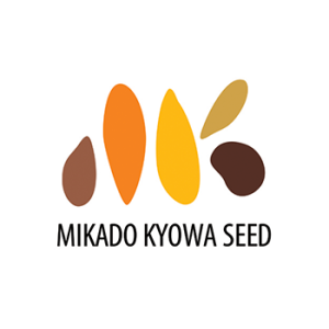 Mikado