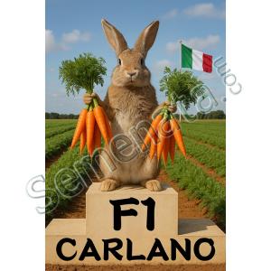 Сертифицирани семена за моркови Карлано ( Carlano F1 ) Топ Цена ! Сертифицирани семена за моркови Карлано ( Carlano F1 ) Топ Цена !