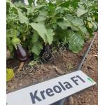 Сертифицирани семена за патладжан Креола F1 / Kreola F1 от Royal Sluis – професионални семена на ниска цена
