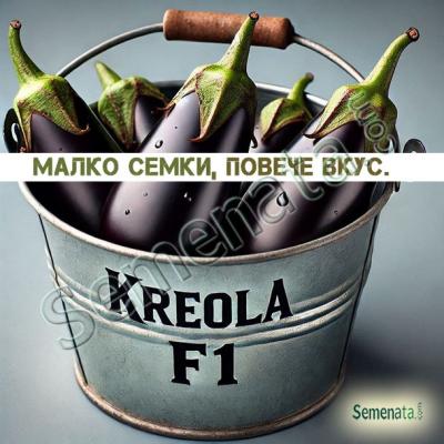 Сертифицирани семена за патладжан Креола F1 / Kreola F1 от Royal Sluis – професионални семена на ниска цена