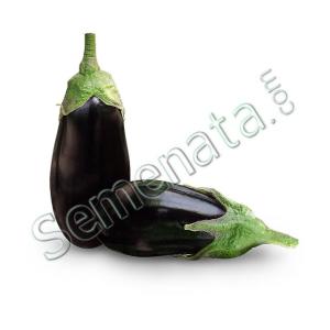 Семена за патладжан Барселона ( Barcelona ) Семена за патладжан Барселона ( Barcelona )