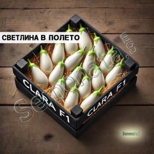 Сертифицирани семена за бял патладжан Клара F1 / Clara F1 топ цена