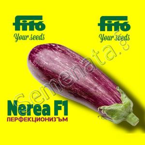 Сертифицирани семена за лилав Патладжан Нерея F1 / Nerea F1 Ниска Цена !