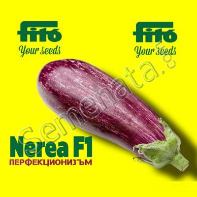 Сертифицирани семена за лилав Патладжан Нерея F1 / Nerea F1 Ниска Цена !