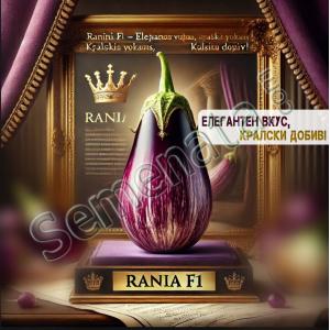 Сертифицирани семена за шарен патладжан Рания F1 / Rania F1 - Добра цена !