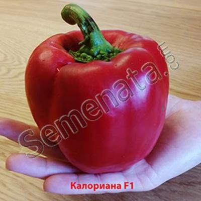 Калориана (Caloriana)