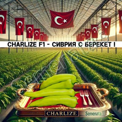 Хибридни семена за пипер Сиврия Чарлийз F1 / Charlize F1 от Yuksel – професионални семена на добра цена