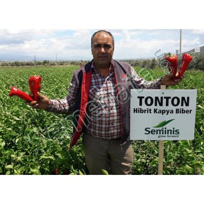 Семена за пипер Тонтон ( Tonton )