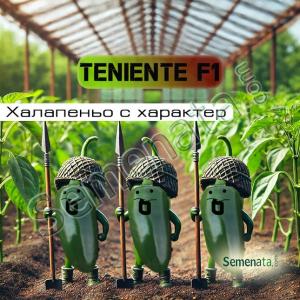 Сертифицирани семена за пипер Тениенте / Teniente F1 тип Халапеньо
