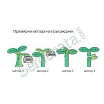 Семена подложка Флексифорт (Flexyfort F1)