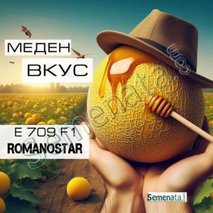 Сертифицирани семена за пъпеши ( Романостар ) E709 F1 ( Romanostar )Enza Zaden ниски цени Сертифицирани семена за пъпеши ( Романостар ) E709 F1 ( Romanostar )Enza Zaden ниски цени