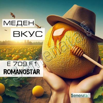 Сертифицирани семена за пъпеши ( Романостар ) E709 F1 ( Romanostar )Enza Zaden ниски цени