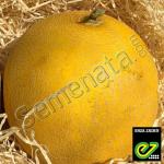 Сертифицирани семена за пъпеши ( Романостар ) E709 F1 ( Romanostar )Enza Zaden ниски цени