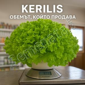 Семена за салата Керилис (Kerilis) светлозелена Gautier