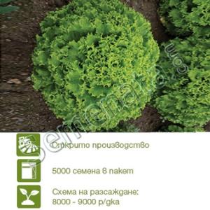 Семена за Салати Виньоле (Vignole) Семена за Салати Виньоле (Vignole)