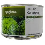 Семена за Салати Канариоле ( Kanaryole ) топ цена ! ОРИГИНАЛА