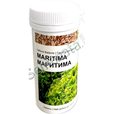 Семена салати Маритима (Maritima) Enza Zaden
