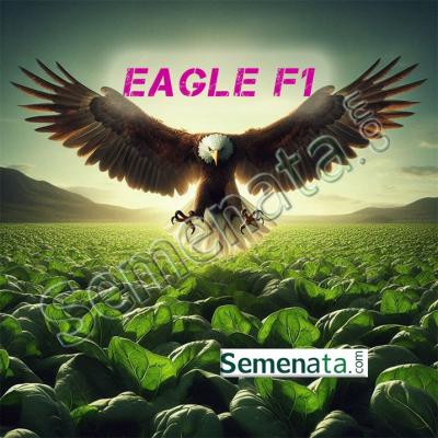 Семена за спанак Игъл ( Eagle RZ F1 ) ниски цени !