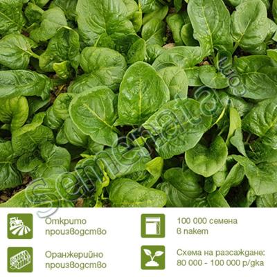 Семена за спанак Ел Гига (El Giga F1) цена