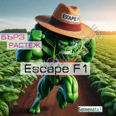Сертифицирани семена за спанак Ескейп / Escape F1 ниски цени !