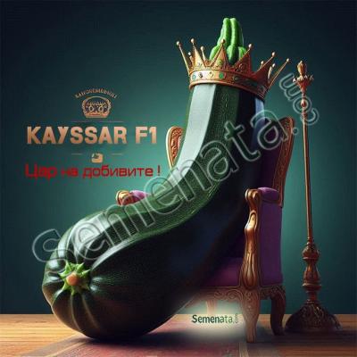 Сертифицирани семена за тиквички Кайсар / Kayssar F1 тъмно зелени
