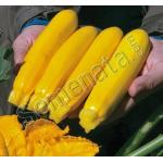 Сертифицирани семена за жълти тиквички Йелоуфин F1 / Yellowfin F1 / ниска цена