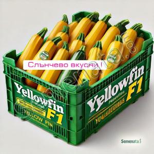 Сертифицирани семена за жълти тиквички Йелоуфин F1 / Yellowfin F1 / ниска цена