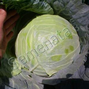 Капорал (Kaporal)