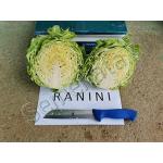Ранно зеле Ранини ( Ranini )