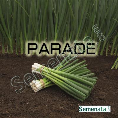 Семена за зелен лук Параде (Parade)