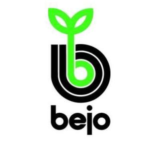 bejo zaden