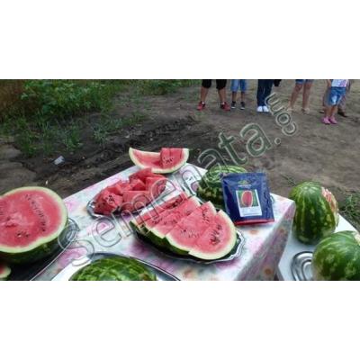 Кримсон Суит