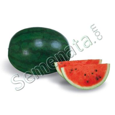Шугър Деликата (Sugar Delicata F1)