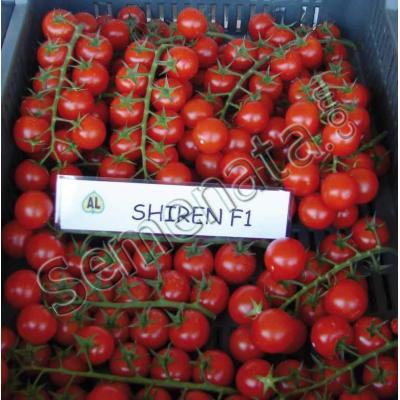 Ширен (Shiren)