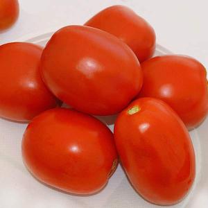 Чибли (Chibli) Чибли (Chibli)