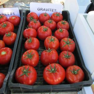 Гравитет (Gravitet) Гравитет (Gravitet)