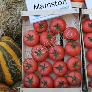 Мамстон (Mamston) Мамстон (Mamston)