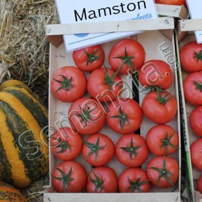 Мамстон (Mamston)