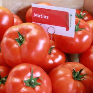 Матиас (Matias)