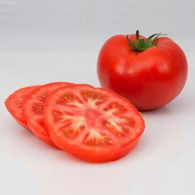 Панекра (Paneкra)