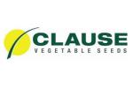 Clause