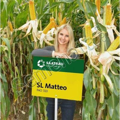 Матео (Matteo)